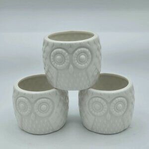 Set of 3 small adorable white ceramic owl planter Succulent Pots WHIMSICAL!